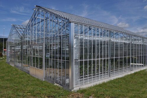 invernadero-ulma-agricola-con-nuevo-sistema-solar-fotovoltaico-instalado-7381826