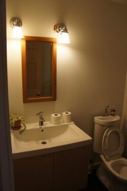 casa-energia-neta-cero-seattle-detalle-lavabo-inodoro-3610816